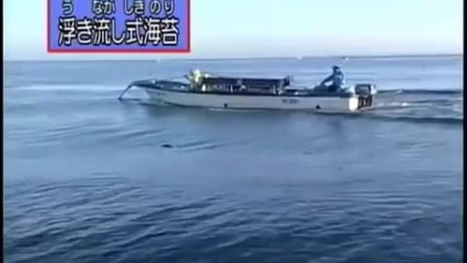 【制造科技】海苔 制造流程